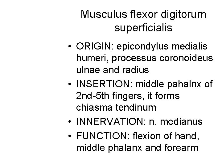 Musculus flexor digitorum superficialis • ORIGIN: epicondylus medialis humeri, processus coronoideus ulnae and radius Musculus flexor digitorum superficialis • ORIGIN: epicondylus medialis humeri, processus coronoideus ulnae and radius