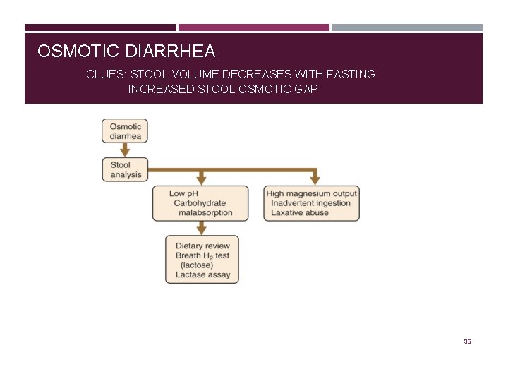 OSMOTIC DIARRHEA CLUES: STOOL VOLUME DECREASES WITH FASTING INCREASED STOOL OSMOTIC GAP 36 