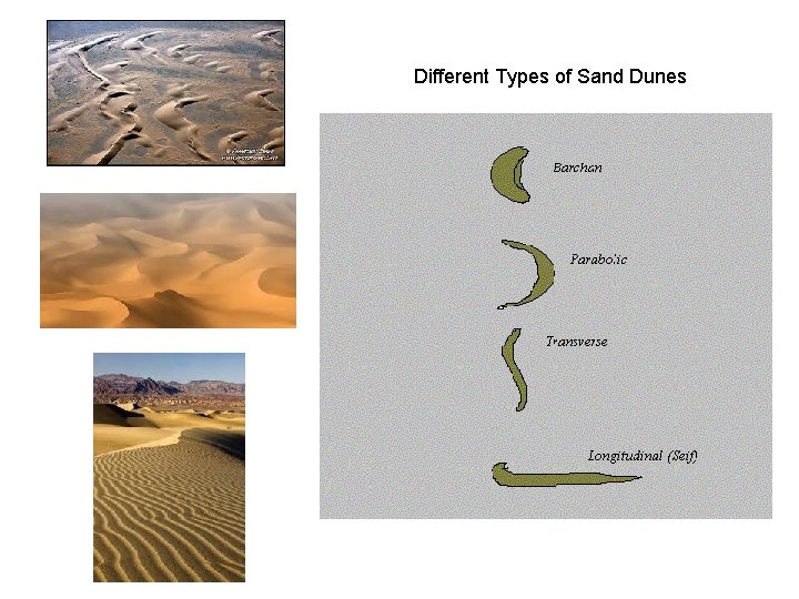 Different Types of Sand Dunes 