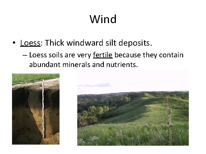 Wind • Loess: Thick windward silt deposits. – Loess soils are very fertile because