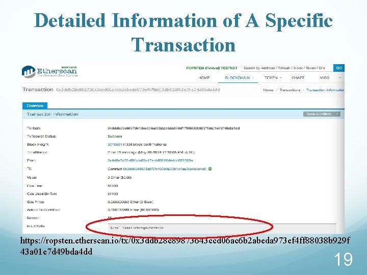 Detailed Information of A Specific Transaction https: //ropsten. etherscan. io/tx/0 x 3 ddb 28