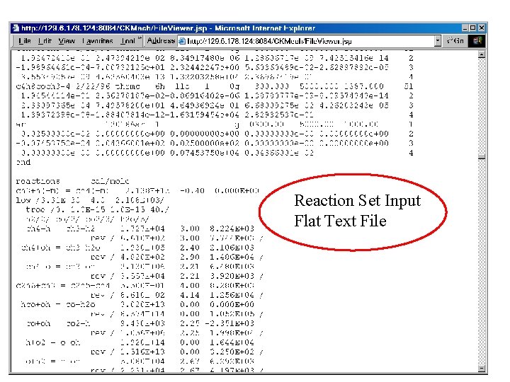 Reaction Set Input Flat Text File 