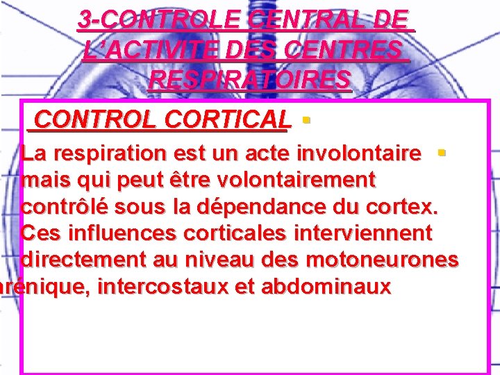 3 -CONTROLE CENTRAL DE L’ACTIVITE DES CENTRES RESPIRATOIRES CONTROL CORTICAL § La respiration est