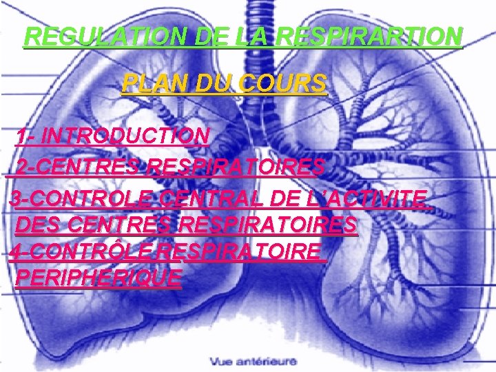 REGULATION DE LA RESPIRARTION PLAN DU COURS 1 - INTRODUCTION 2 -CENTRES RESPIRATOIRES 3
