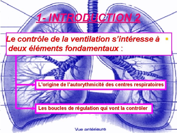 1 - INTRODUCTION 2 Le contrôle de la ventilation s’intéresse à § deux éléments