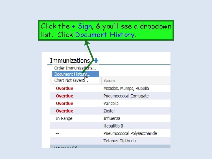 Click the + Sign, & you’ll see a dropdown list. Click Document History. 