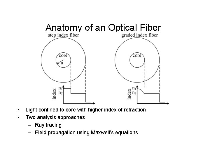 Anatomy of an Optical Fiber • • Light confined to core with higher index