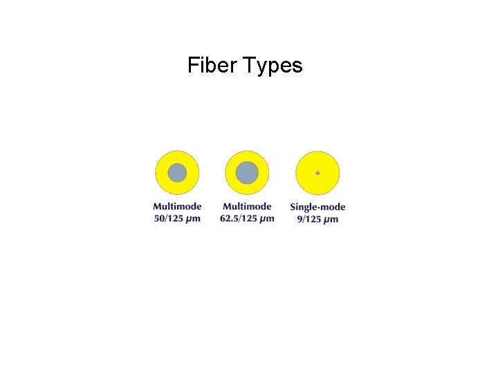 Fiber Types 