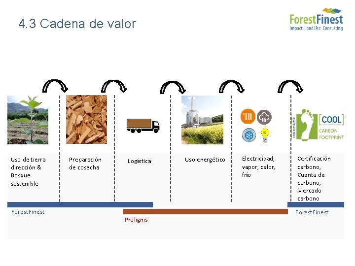 4. 3 Cadena de valor Uso de tierra dirección & Bosque sostenible Preparación de