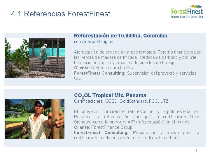 4. 1 Referencias Forest. Finest Reforestación de 10. 000 ha, Colombia con Acacia Mangium