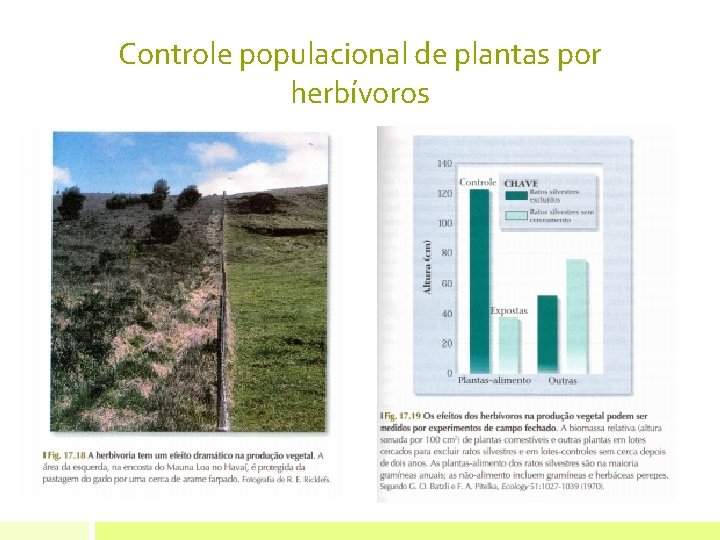 Controle populacional de plantas por herbívoros 