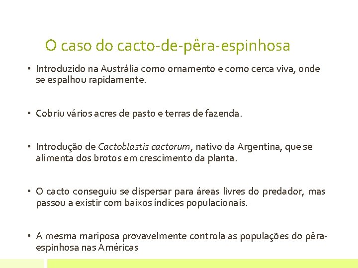 O caso do cacto-de-pêra-espinhosa • Introduzido na Austrália como ornamento e como cerca viva,