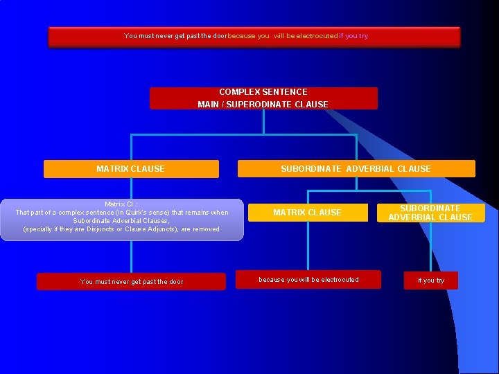 You must never get past the door because you will be electrocuted ifyou try