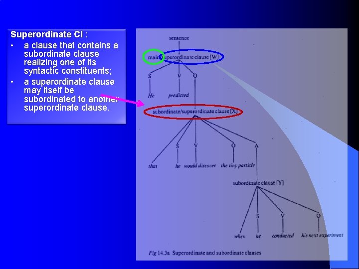 Superordinate Cl : • a clause that contains a subordinate clause realizing one of