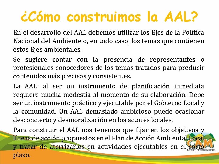 ¿Cómo construimos la AAL? En el desarrollo del AAL debemos utilizar los Ejes de