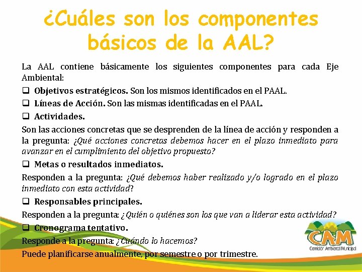 ¿Cuáles son los componentes básicos de la AAL? La AAL contiene básicamente los siguientes