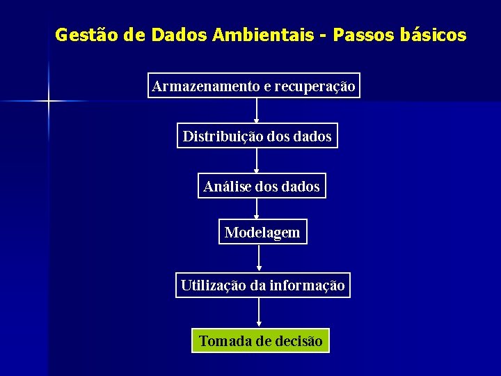 Gestão de Dados Ambientais - Passos básicos Armazenamento e recuperação Distribuição dos dados Análise