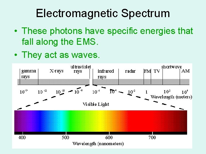 Electromagnetic Spectrum • These photons have specific energies that fall along the EMS. •