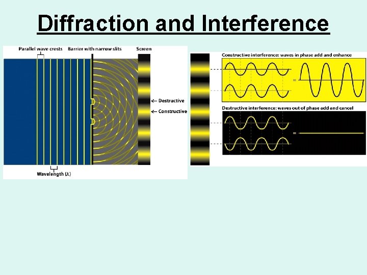 Diffraction and Interference 