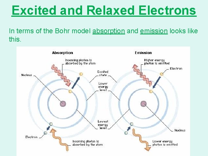 Excited and Relaxed Electrons In terms of the Bohr model absorption and emission looks