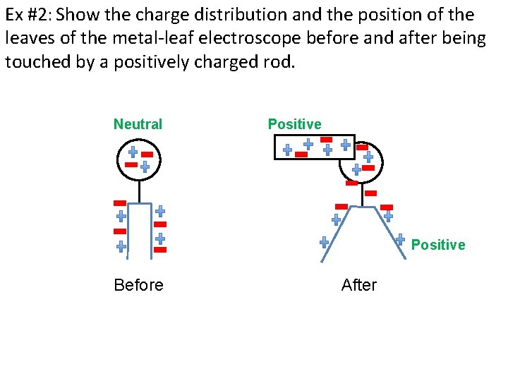 Ex #2: Show the charge distribution and the position of the leaves of the