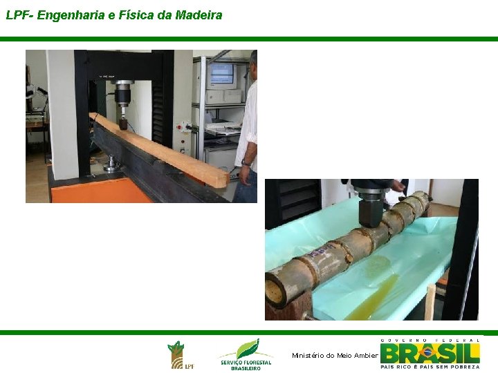 LPF- Engenharia e Física da Madeira Ministério do Meio Ambiente 