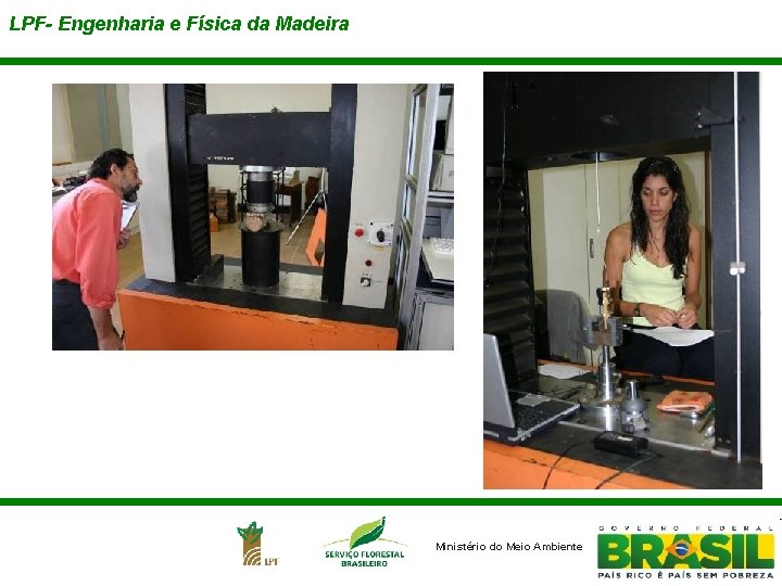 LPF- Engenharia e Física da Madeira Ministério do Meio Ambiente 