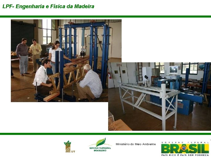 LPF- Engenharia e Física da Madeira Ministério do Meio Ambiente 