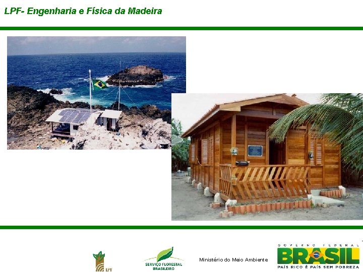 LPF- Engenharia e Física da Madeira Ministério do Meio Ambiente 