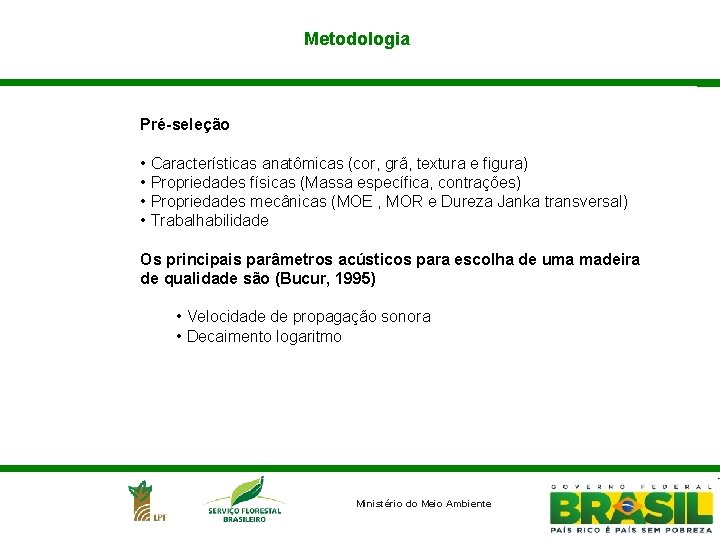 Metodologia Pré-seleção • Características anatômicas (cor, grã, textura e figura) • Propriedades físicas (Massa