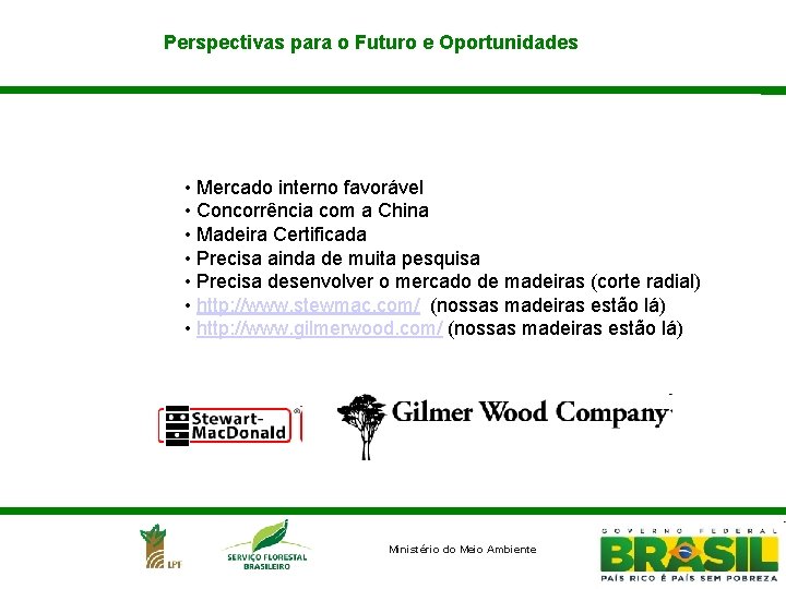 Perspectivas para o Futuro e Oportunidades • Mercado interno favorável • Concorrência com a