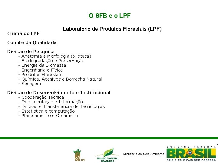 O SFB e o LPF Chefia do LPF Laboratório de Produtos Florestais (LPF) Comitê