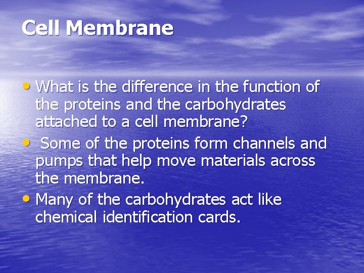 Cell Membrane • What is the difference in the function of the proteins and