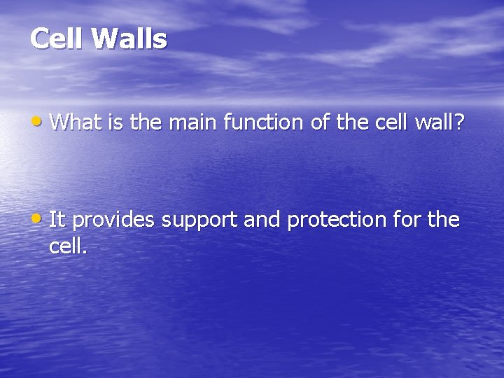 Cell Walls • What is the main function of the cell wall? • It