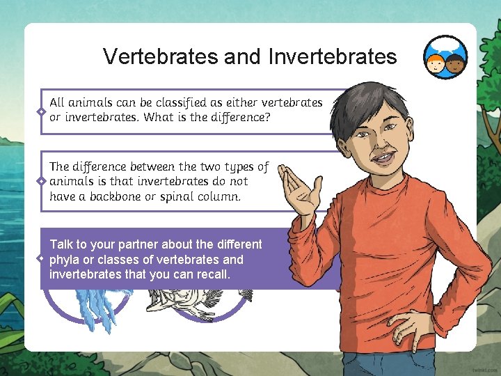 Vertebrates and Invertebrates All animals can be classified as either vertebrates or invertebrates. What
