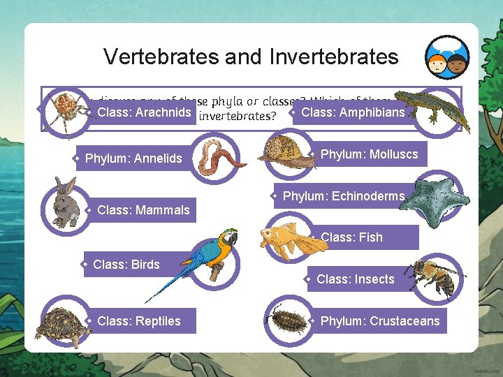 Vertebrates and Invertebrates Did you discuss any of these phyla or classes? Which of