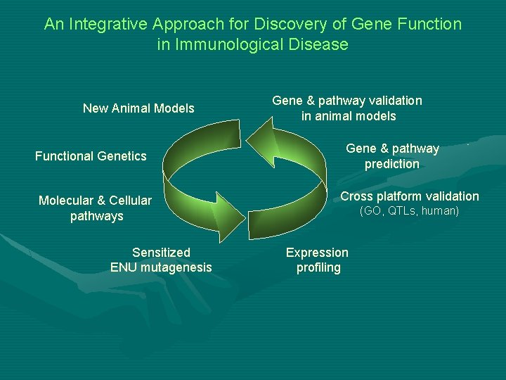 An Integrative Approach for Discovery of Gene Function in Immunological Disease New Animal Models