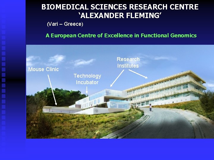 BIOMEDICAL SCIENCES RESEARCH CENTRE ‘ALEXANDER FLEMING’ (Vari – Greece) A European Centre of Excellence