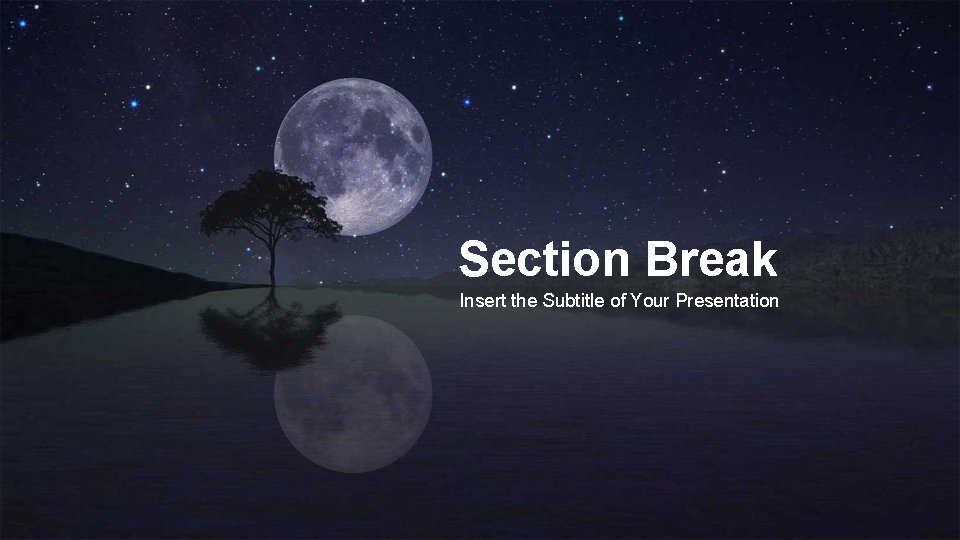 Section Break Insert the Subtitle of Your Presentation 