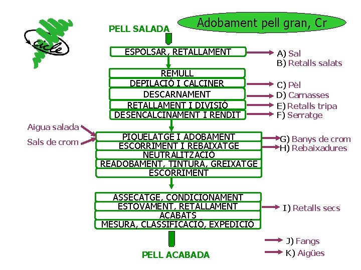 PELL SALADA Adobament pell gran, Cr ESPOLSAR, RETALLAMENT REMULL DEPILACIÓ I CALCINER DESCARNAMENT RETALLAMENT