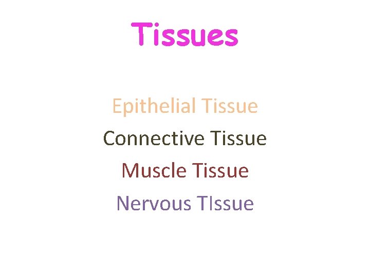 Tissues Epithelial Tissue Connective Tissue Muscle Tissue Nervous TIssue  Tissues Epithelial Tissue Connective Tissue Muscle Tissue Nervous TIssue