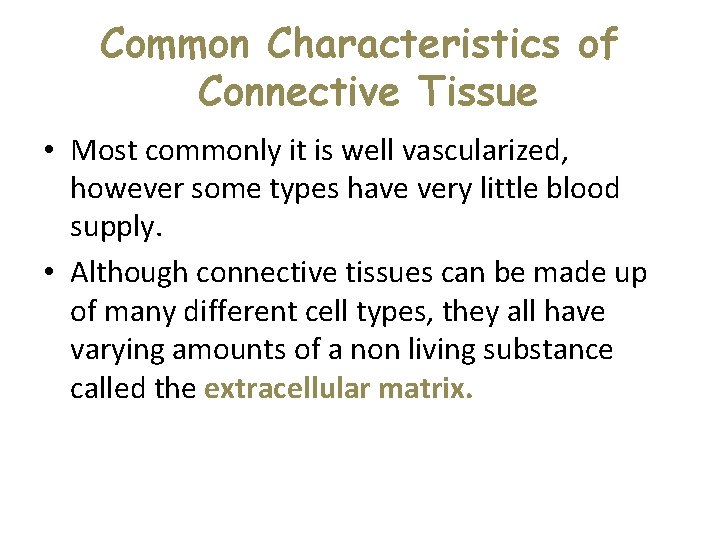 Common Characteristics of Connective Tissue • Most commonly it is well vascularized, however some Common Characteristics of Connective Tissue • Most commonly it is well vascularized, however some
