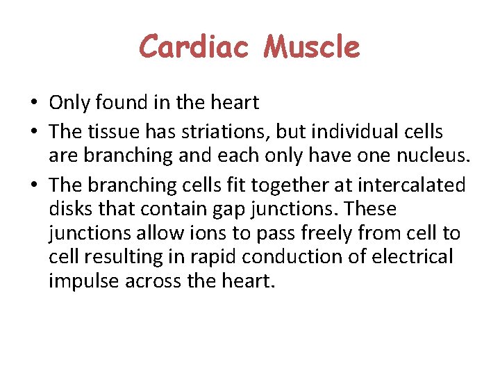 Cardiac Muscle • Only found in the heart • The tissue has striations, but Cardiac Muscle • Only found in the heart • The tissue has striations, but