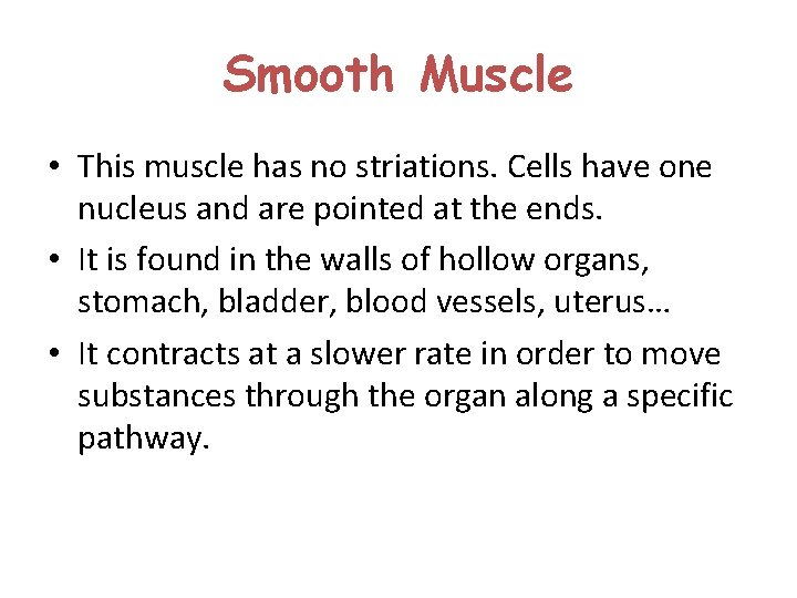 Smooth Muscle • This muscle has no striations. Cells have one nucleus and are Smooth Muscle • This muscle has no striations. Cells have one nucleus and are