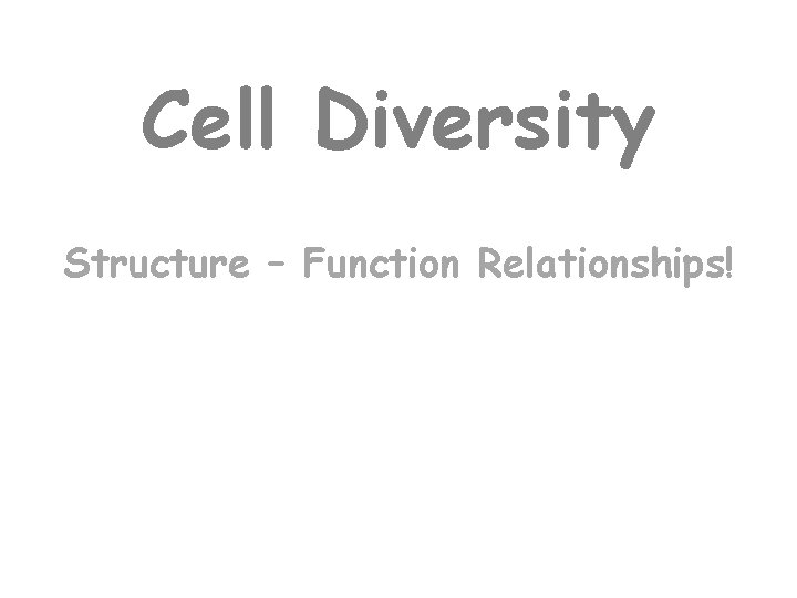 Cell Diversity Structure – Function Relationships!  Cell Diversity Structure – Function Relationships!