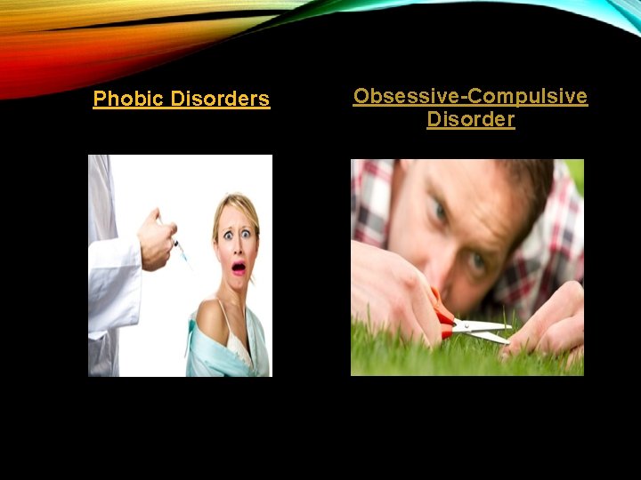 Phobic Disorders Obsessive-Compulsive Disorder 