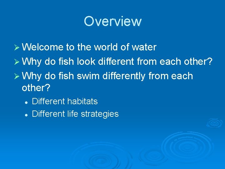 Overview Ø Welcome to the world of water Ø Why do fish look different