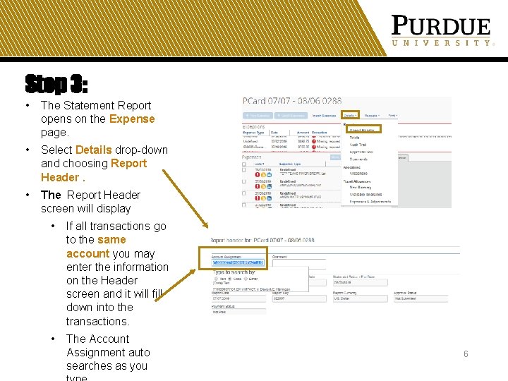 Step 3: • The Statement Report opens on the Expense page. • Select Details