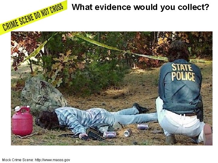 What evidence would you collect? Mock Crime Scene: http: //www. masss. gov 