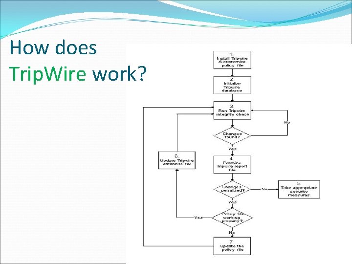 How does Trip. Wire work? 